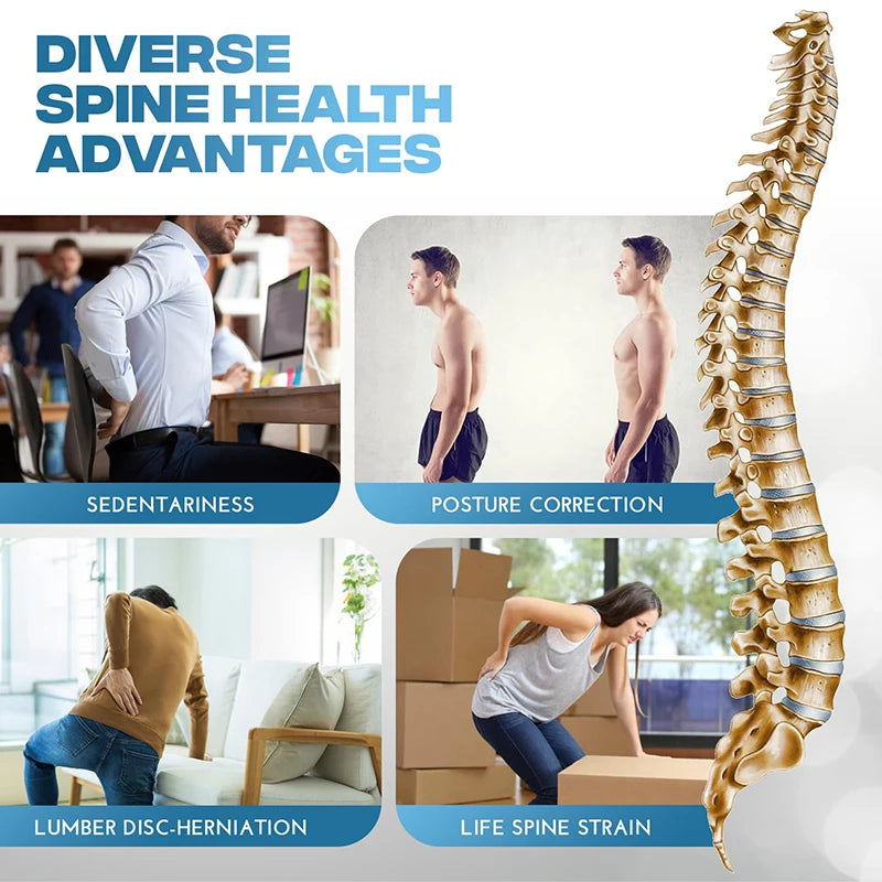 Lumbar Stretching & Massage Device